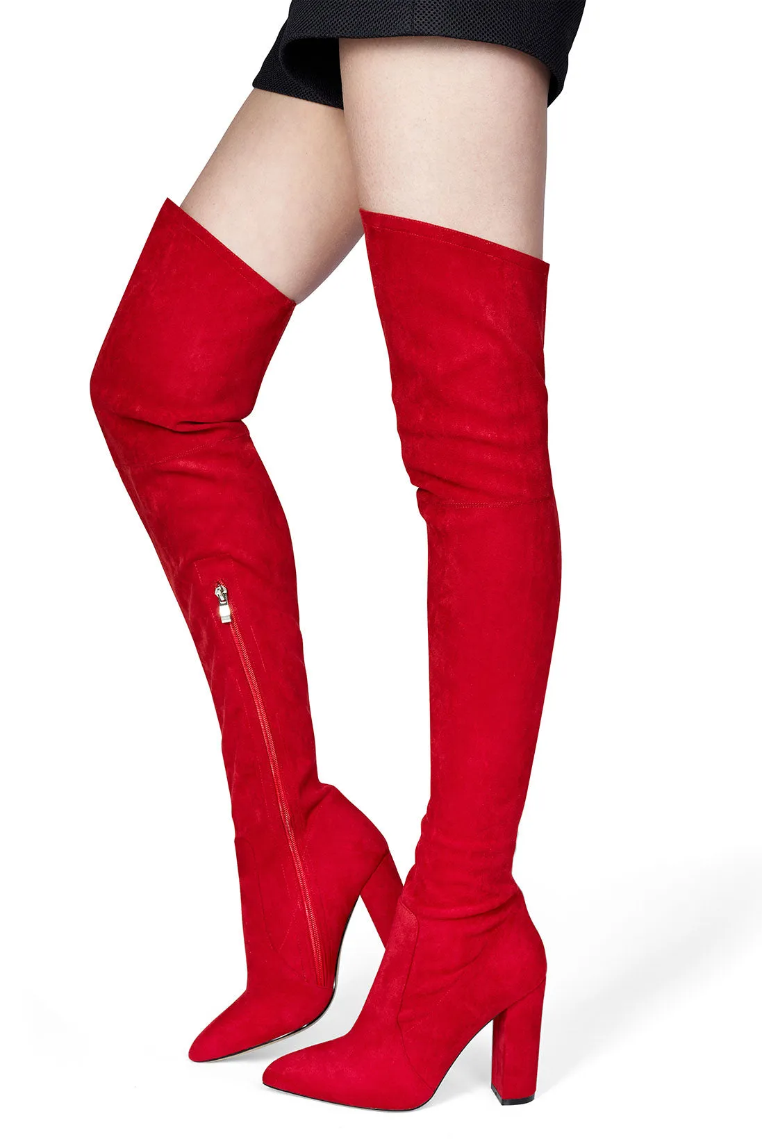 CASTAMERE Womens High Heels Over The Knee Boots Sexy Pointy Toe Chunky Block 10CM Heel Boot with Zipper